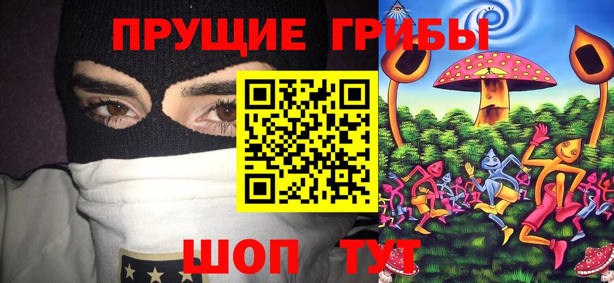 Псилоцибиновые грибы ЛСД Петрозаводск