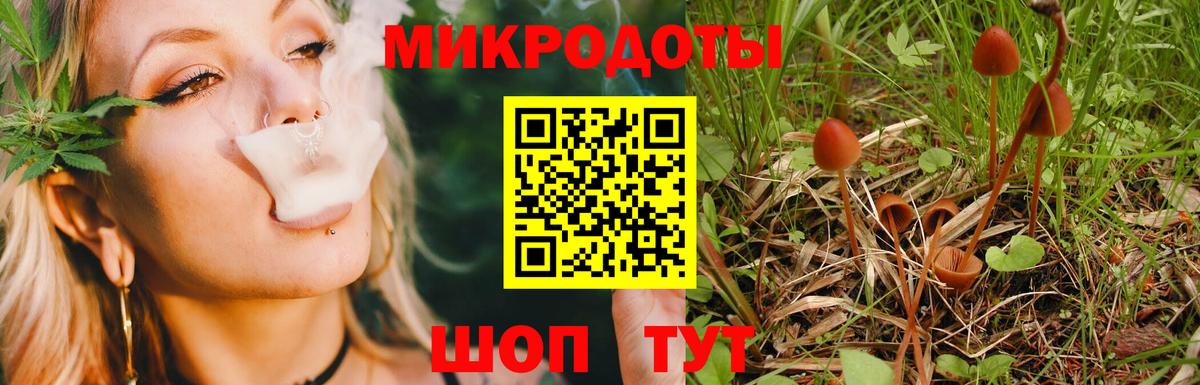Псилоцибиновые грибы мухоморы  Псилоцибиновые грибы GOLDEN TEACHER  Петрозаводск  Вход с VPN 